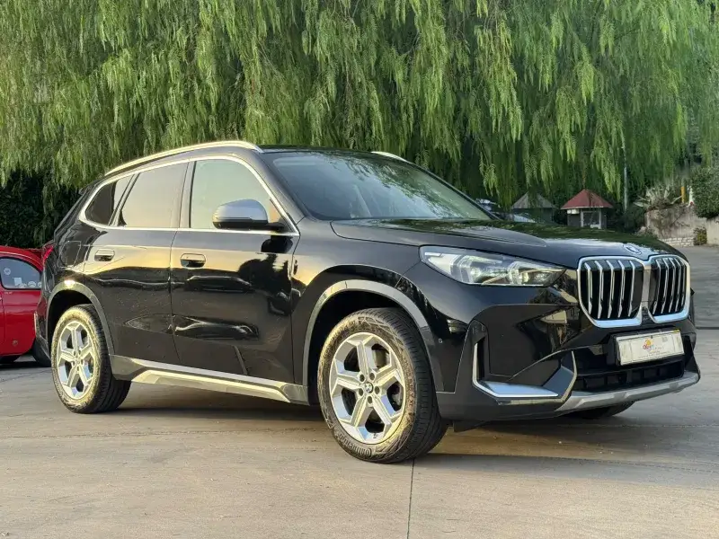 BMW X1 — foto 6
